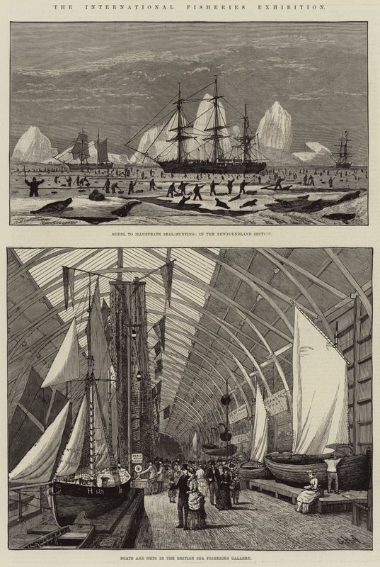 Uluslararası Balıkçılık Fuarı by George Henry Andrews