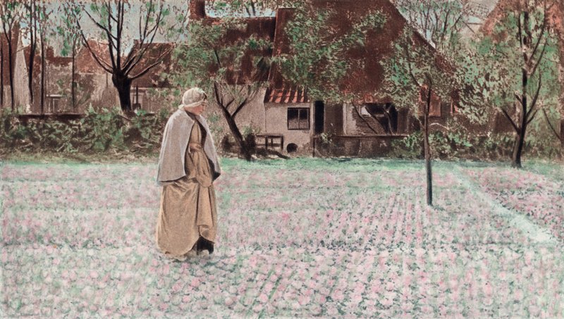 Lale Bahçıvanı (renkli fotoğraf gravürü) by George Hitchcock