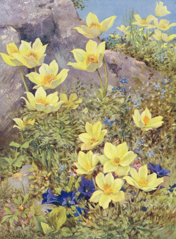  by George Jackson Flemwell