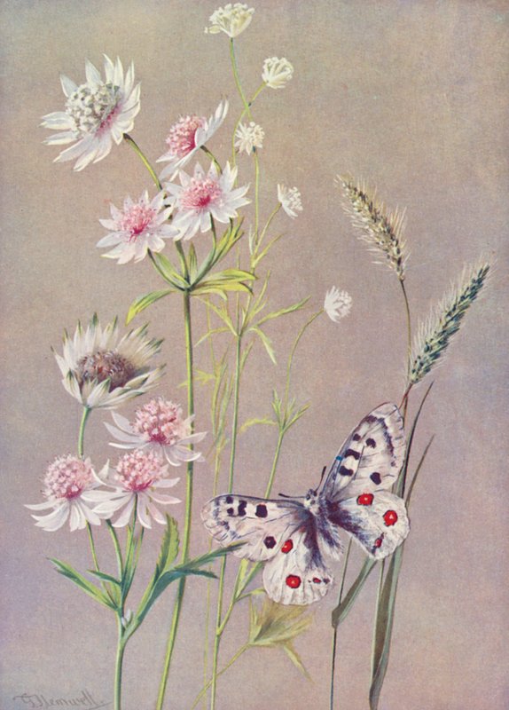  by George Jackson Flemwell