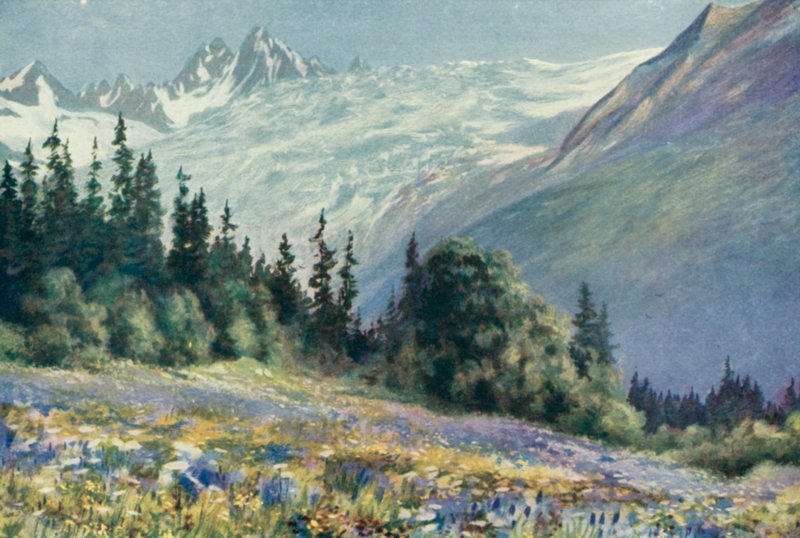 Col Des Montets üzerinde Campanula ve Diğer Temmuz Çiçekleri (renkli lito) by George Jackson Flemwell