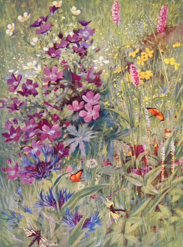  by George Jackson Flemwell