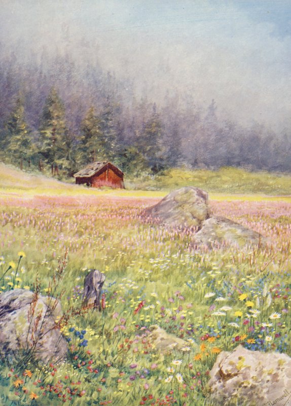  by George Jackson Flemwell