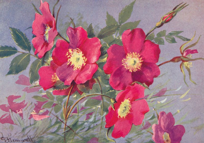  by George Jackson Flemwell