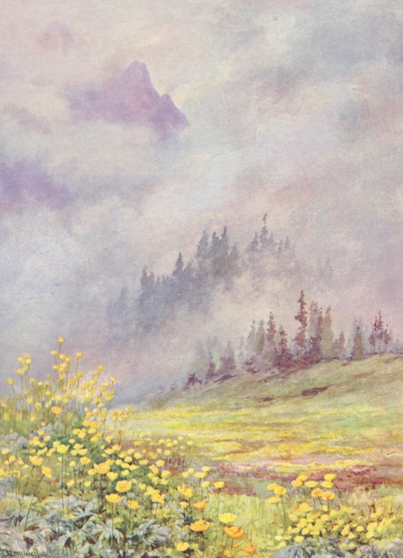  by George Jackson Flemwell