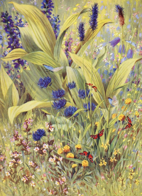  by George Jackson Flemwell