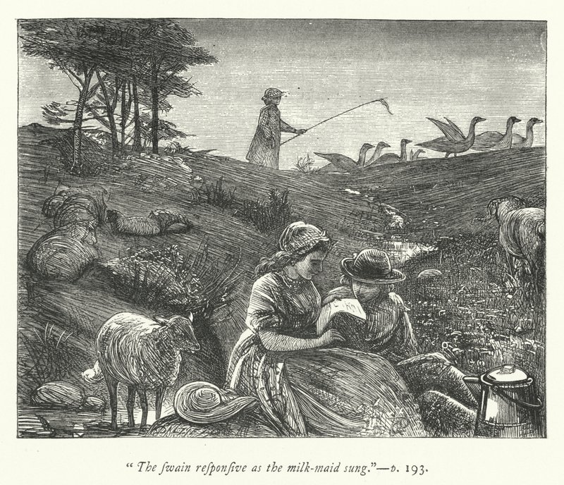 Issız Köy için İllüstrasyon (gravür) by George John Pinwell