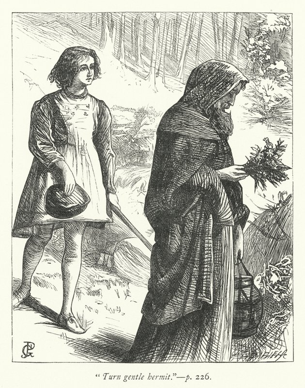 Hermit için İllüstrasyon (gravür) by George John Pinwell