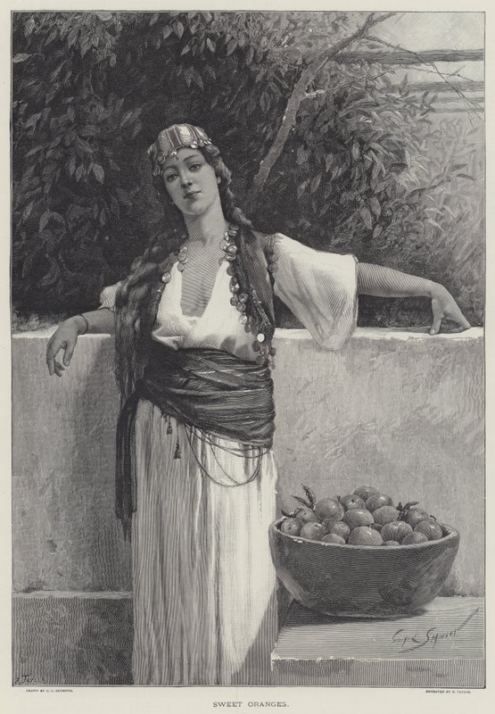 tatlı portakal by George L. Seymour