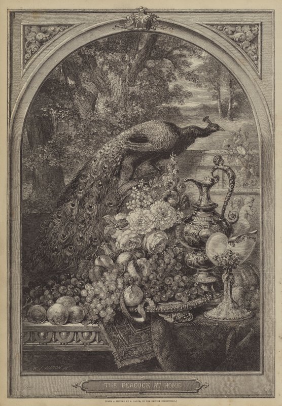 Evdeki Tavus Kuşu by George Lance