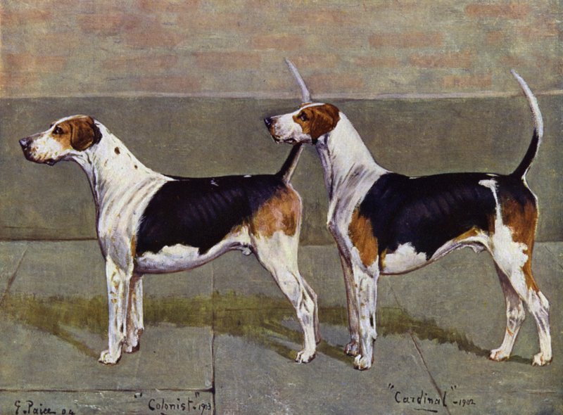 Puckeridge Foxhounds Sömürgeci ve Kardinal by George Paice