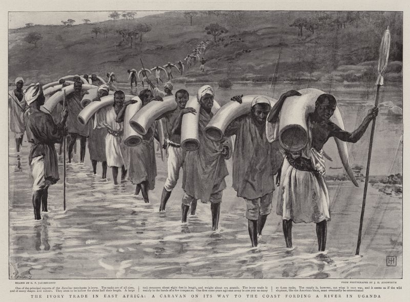 Doğu Afrika
