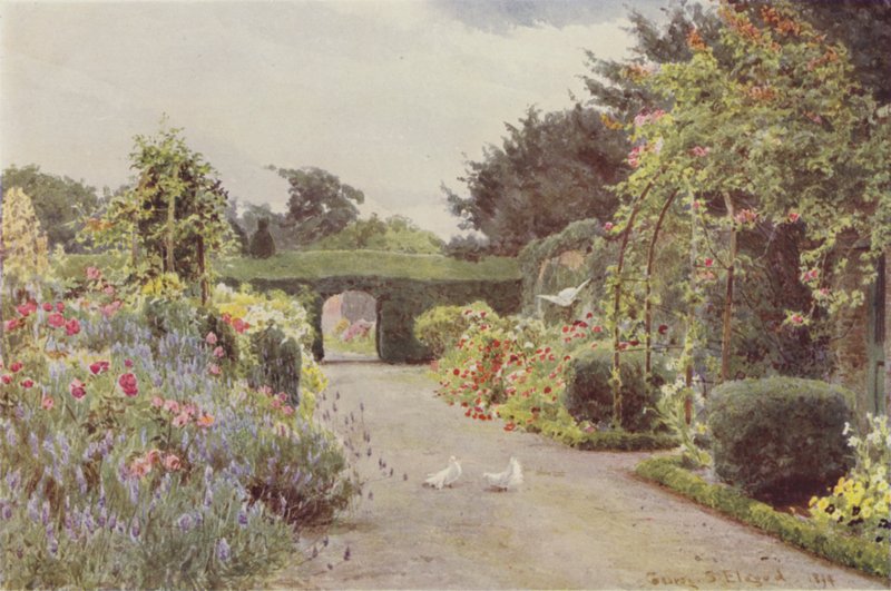 Çin Gülleri ve Lavanta, Palmerstown by George Samuel Elgood