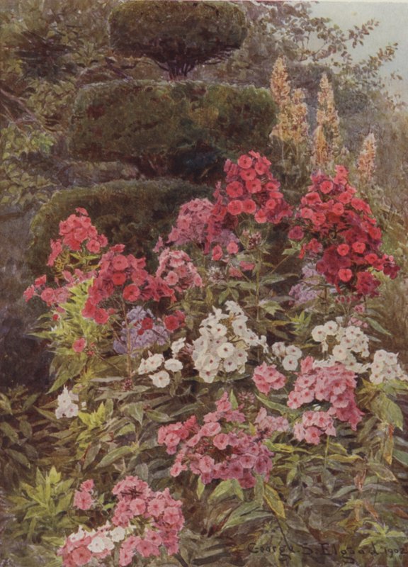 Floksa by George Samuel Elgood