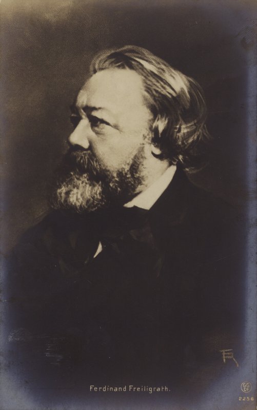 Ferdinand Freiligrath (1810-1876), Alman şair (b/w fotoğraf) by German Photographer