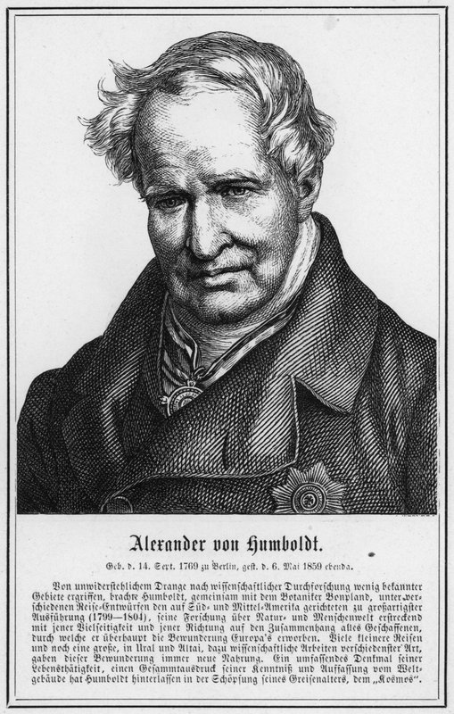 Alexander von Humboldt (gravür) by German School