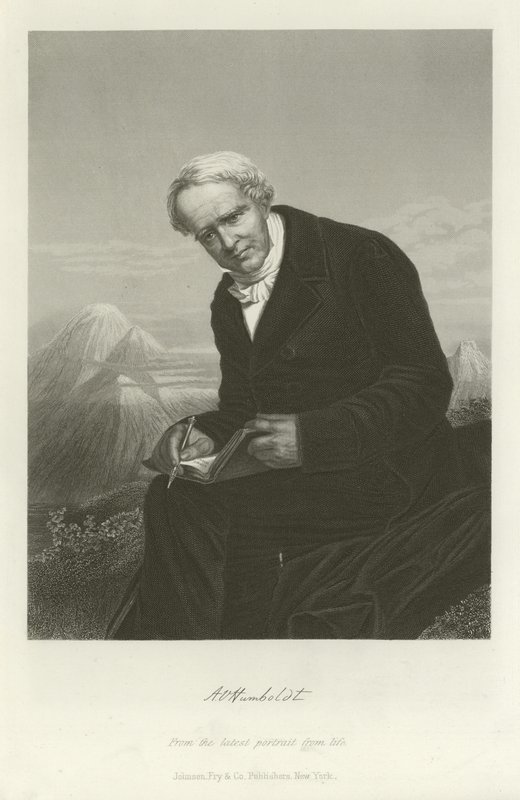 Alexander von Humboldt by German School