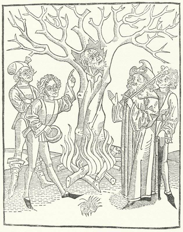 Bilgelik Kitabından Bir Örnek by German School