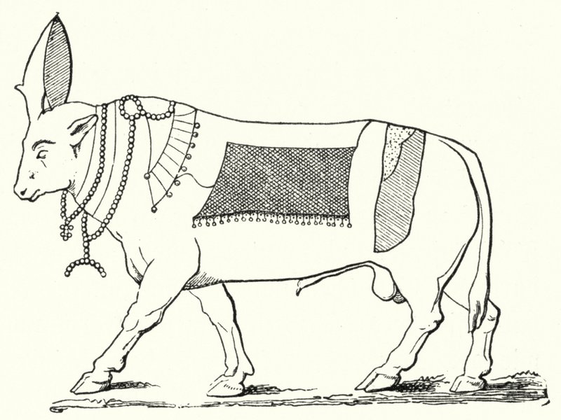 Apis, Antik Mısır