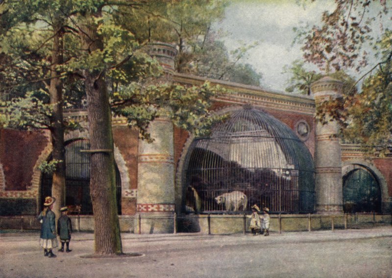 Ayı muhafazası, Berlin Zooloji Bahçesi, Almanya (renkli taş) by German School
