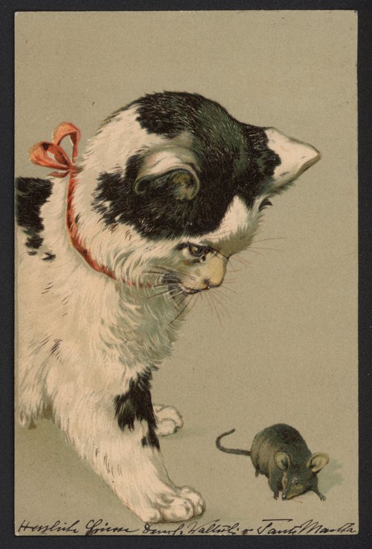 Fare ile oynayan kedi (renkli taş baskı) by German School