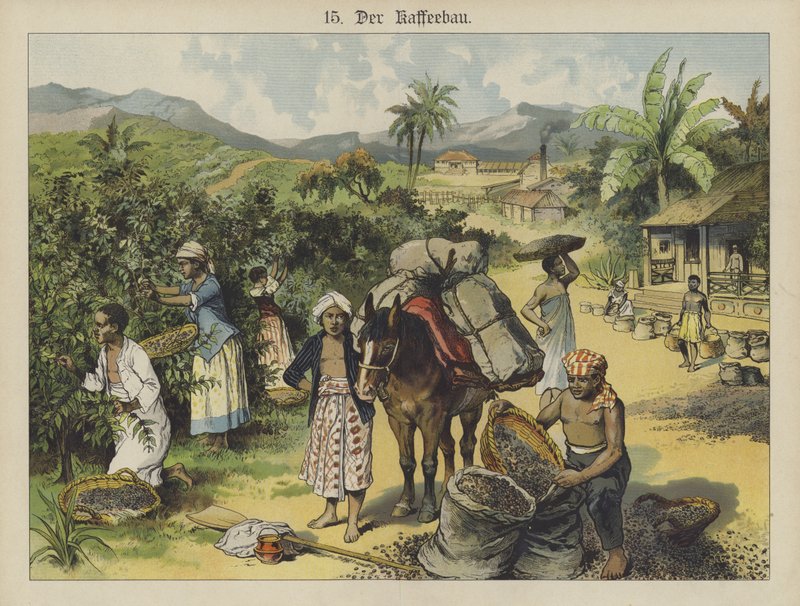 Kahve ekimi (renkli taş) by German School