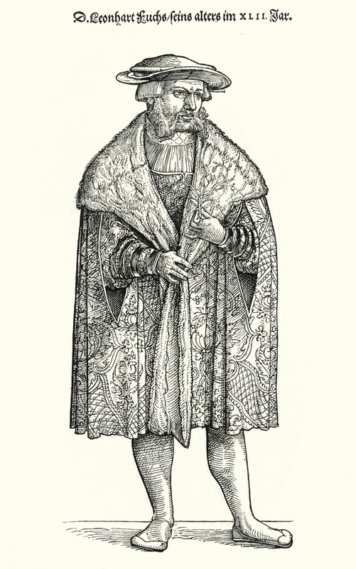 Dr Leonhart Fuchs, Alman doktor, botanikçi ve Tübingen Üniversitesi