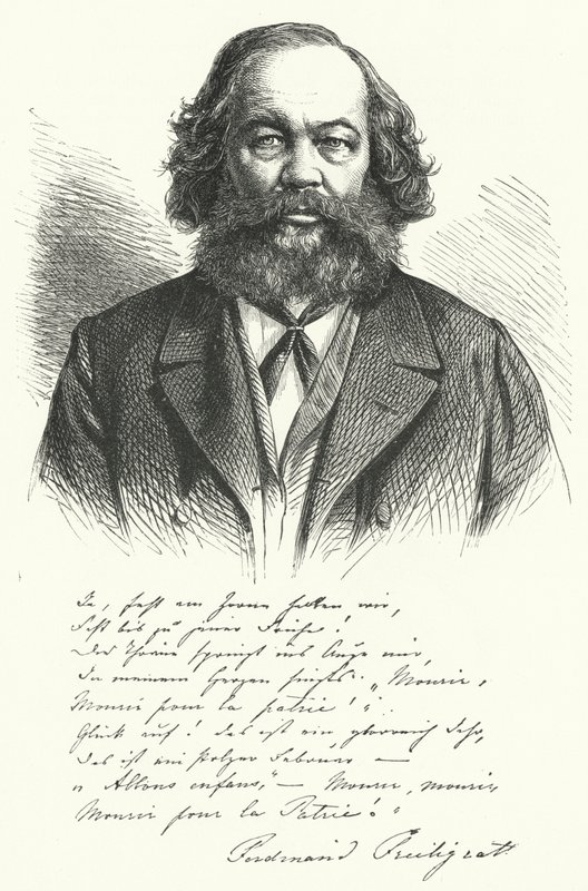 Ferdinand Freiligrath, Alman şair, çevirmen ve liberal politik ajitatör (gravür) by German School