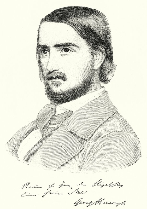 Georg Herwegh, Alman şair (gravür) by German School