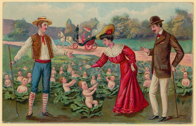 Lahanadan bebek yetiştirmek by German School