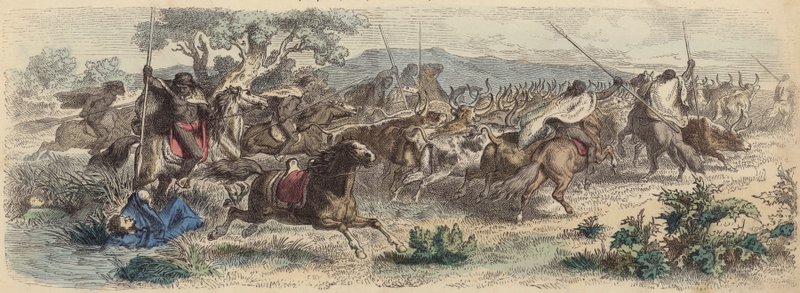 Kızılderililer Pampalarda Gauchos