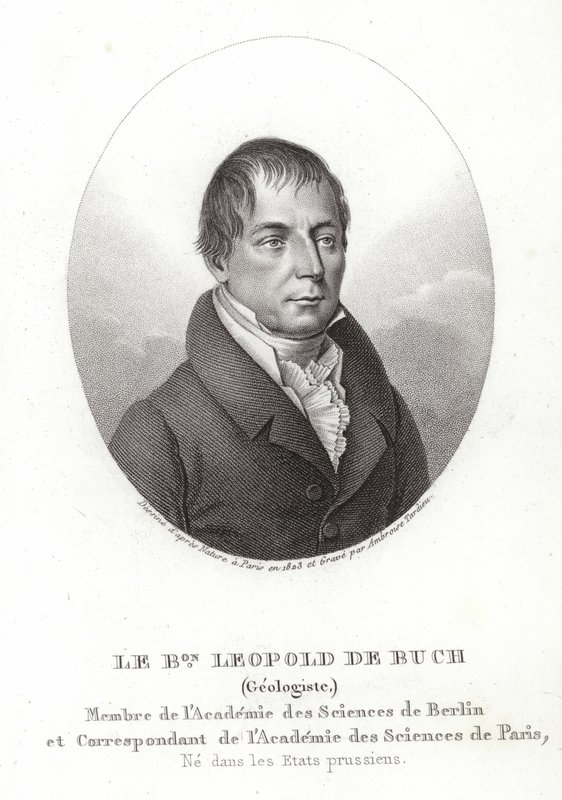 Leopold von Buch by German School