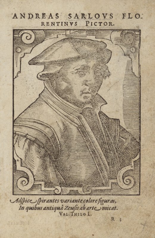 Andreas Sarlous