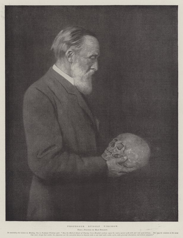 Profesör Rudolf Virchow (taş) by German School