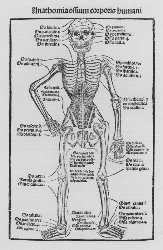 Sirurgia Kitabı, Hieronymus Brunschwig by German School