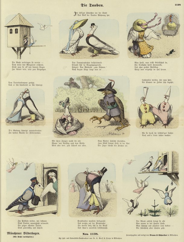 güvercinler by German School