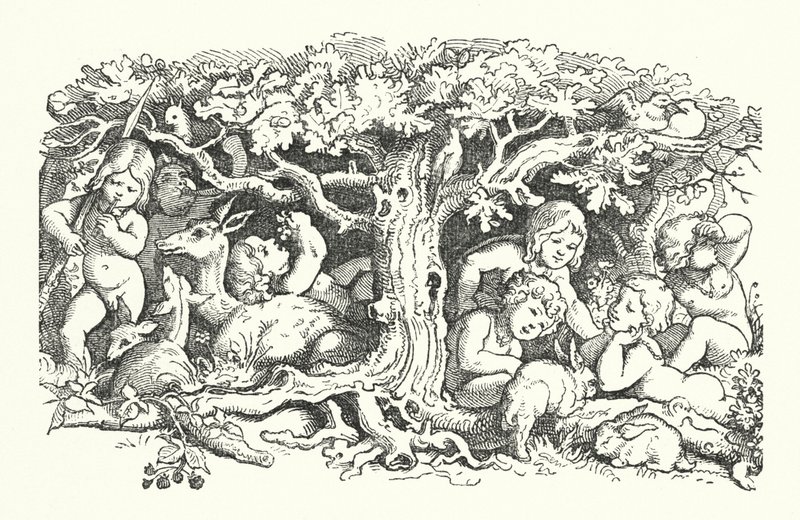 Yedi Kuğu (gravür) by German School