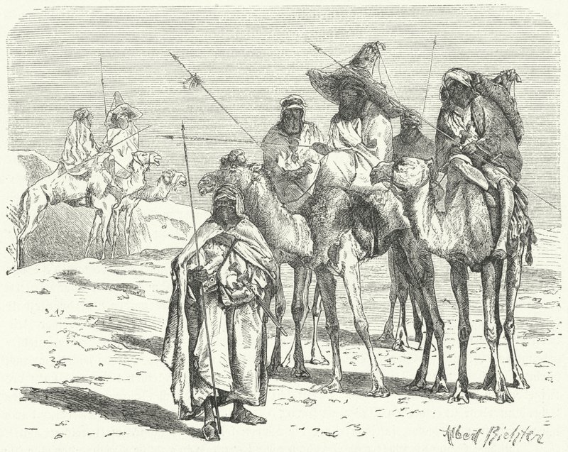 Tuaregler (gravür) by German School
