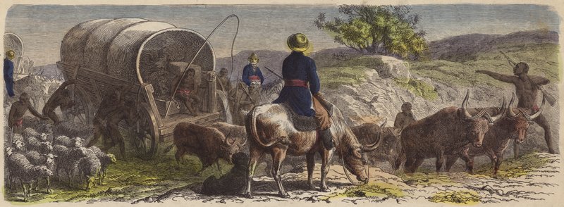 Güney Afrika