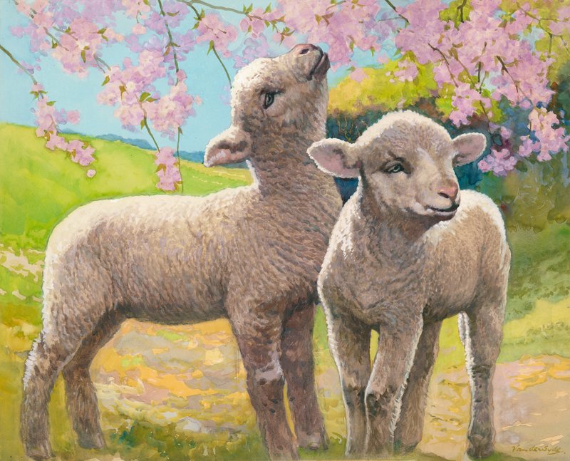  by Gerritt Vandersyde