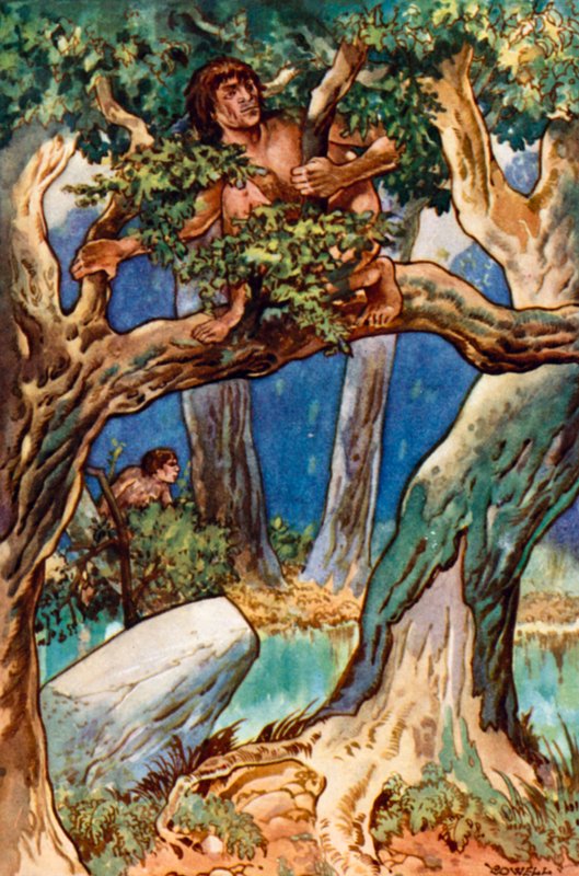 Umuntu muremure, muremure, muremure Umuntu mumashyamba nigishanga by Gertrude Hamilton
