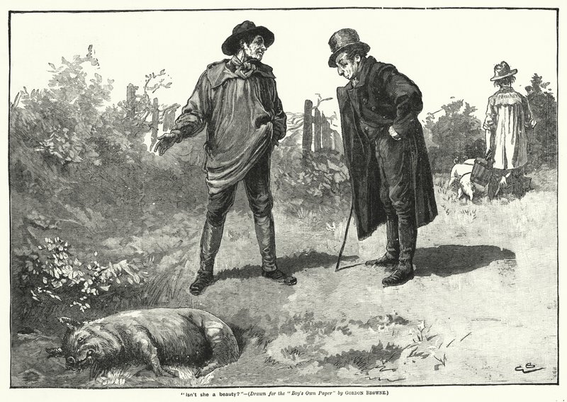 "Güzel değil mi?" (Oymak) by Gordon Frederick (after) Browne