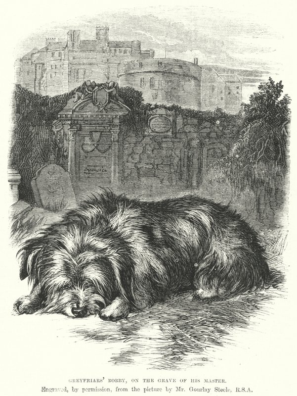 Greyfriars'ın Bobby'si, Efendisinin Mezarı Üzerine (gravür) by Gourlay Steel