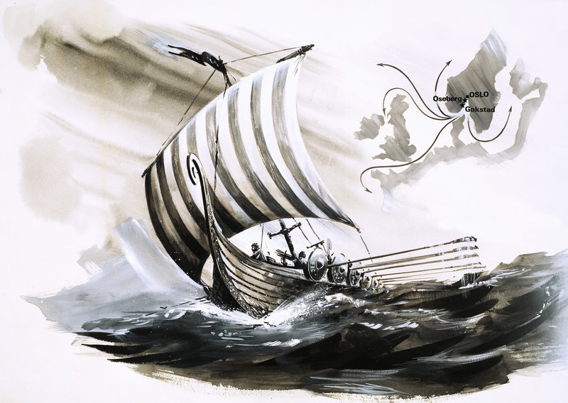 Kayıp ve Buluntu: Muzaffer Vikingler by Graham Coton