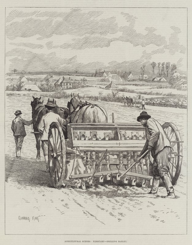 Tarımsal Sahneler, Şubat, Arpa sondajı by Gunning King