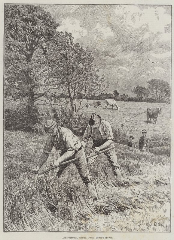 Tarım Manzaraları, Haziran, Yonca Biçme by Gunning King