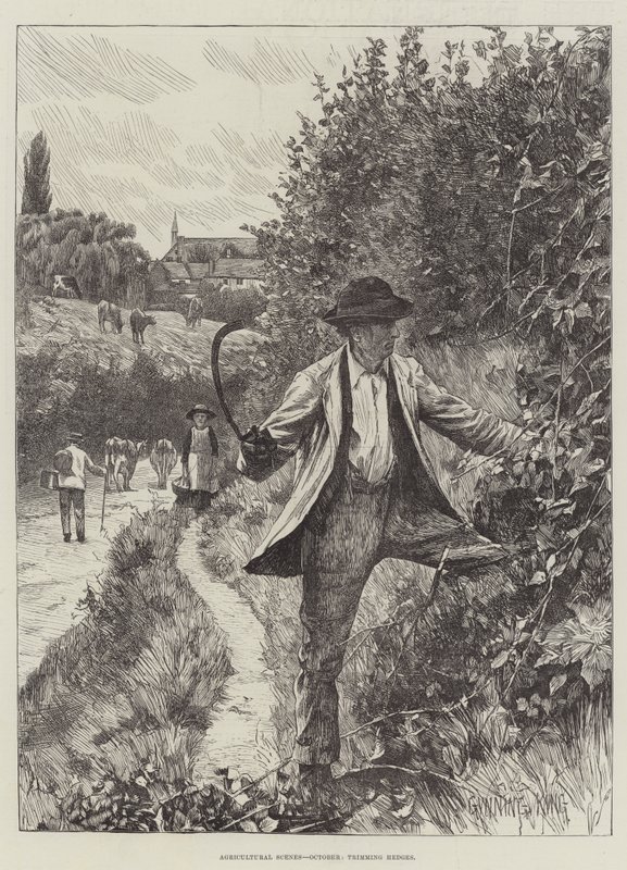 Tarımsal Sahneler, Ekim, Çitlerin Budanması by Gunning King