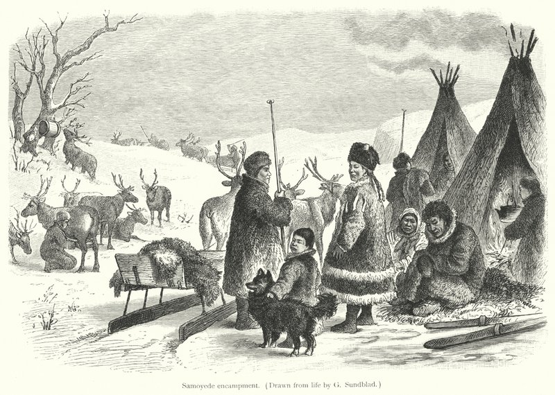 Samoyede kampı (gravür) by Gustav (after) Sundblad