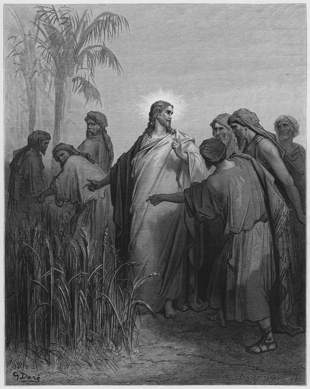 Gustave Dore İncil: Mısır tarlasında İsa ve öğrencileri by Gustave Dore