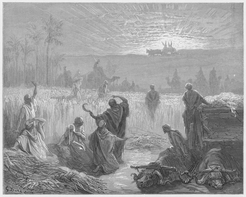Gustave Dore İncil: Geminin Beth-Shemesh